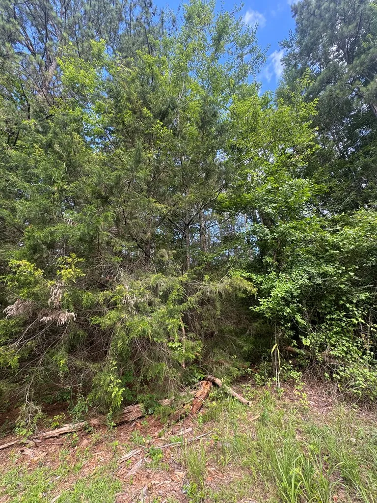 0 Melody Drive Waverly Hall, GA 31831