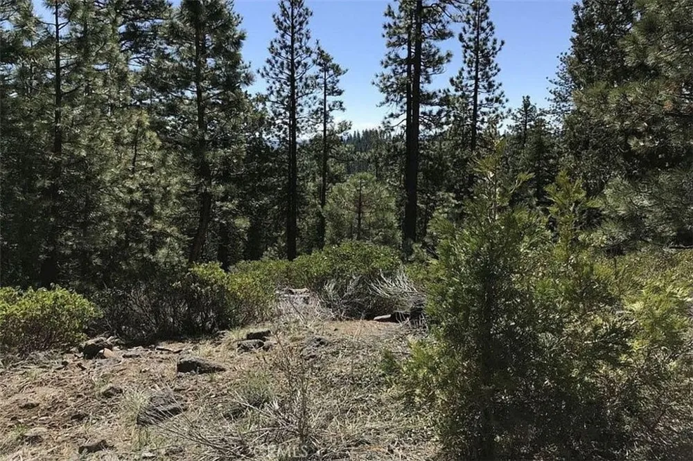 Falcon Road California Pines, CA 96101