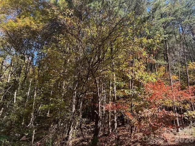 4294 South View Boulevard Morganton, NC 28655