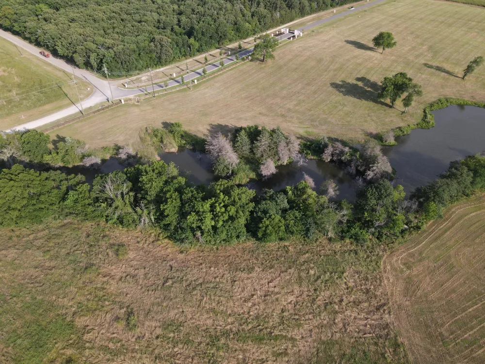 265 Sailview Court Honey Grove, TX 75446