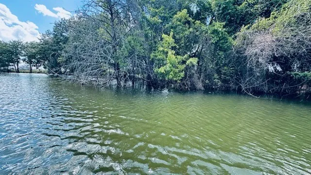 265 Sailview Court Honey Grove, TX 75446