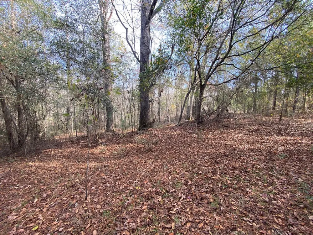 Lot 14 Robin Boulevard Swainsboro, GA 30401
