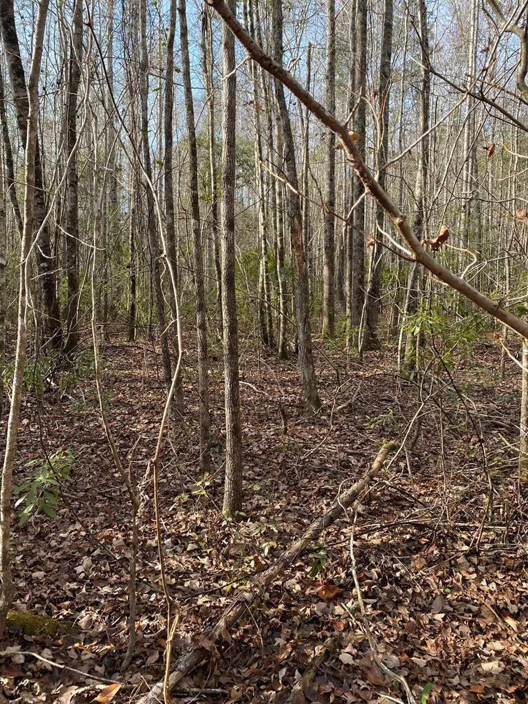 Lot 14 Robin Boulevard Swainsboro, GA 30401