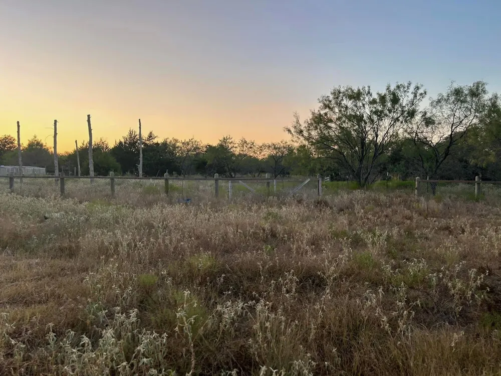 16550 NW COUNTY ROAD 3120 Purdon, TX 76679
