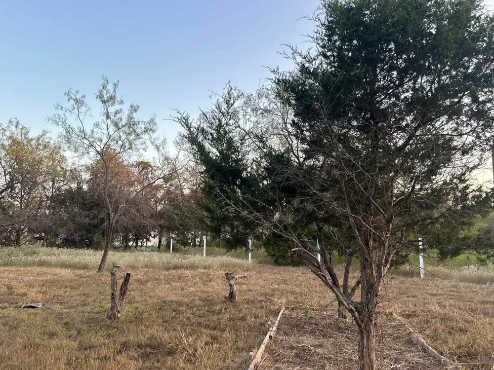 16550 NW COUNTY ROAD 3120 Purdon, TX 76679