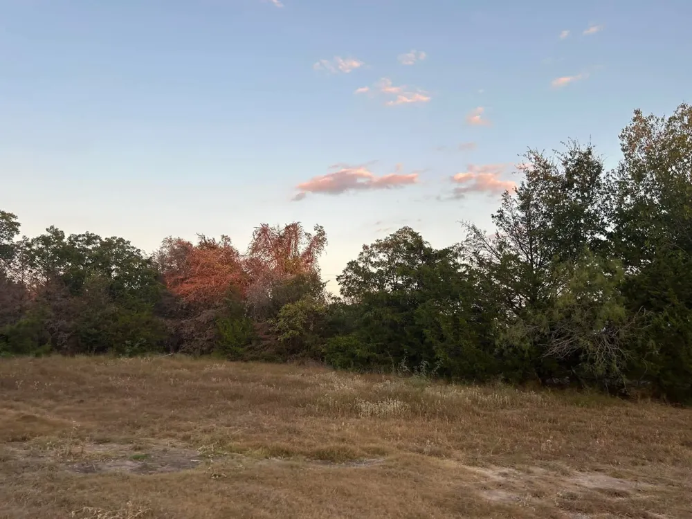 16550 NW COUNTY ROAD 3120 Purdon, TX 76679