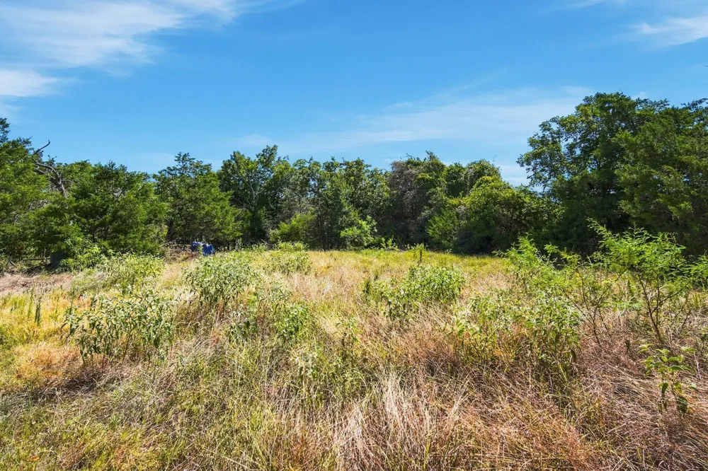 16550 NW COUNTY ROAD 3120 Purdon, TX 76679