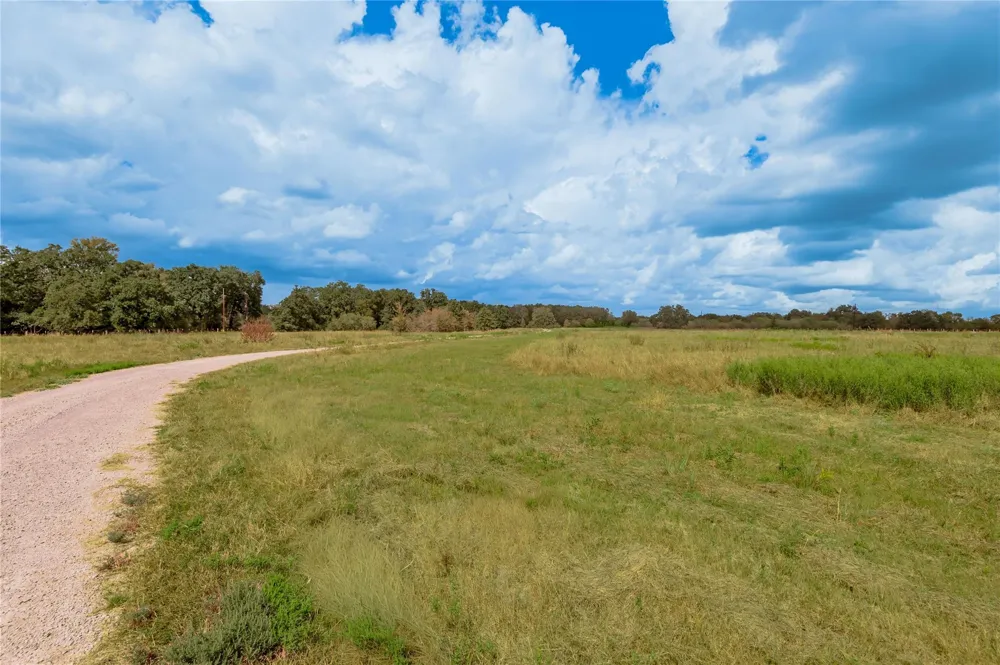 2803 Fm 2158 Midway, TX 75852