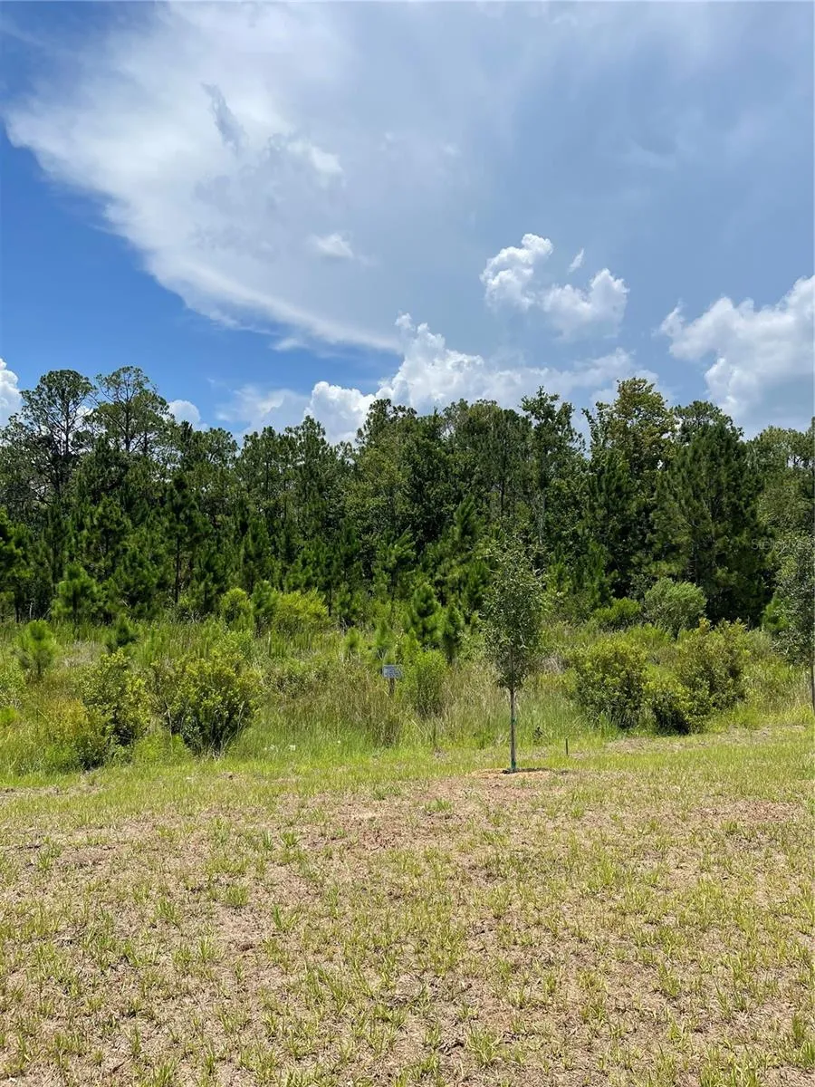 7630 BENT TREE LOOP St Cloud, FL 34773