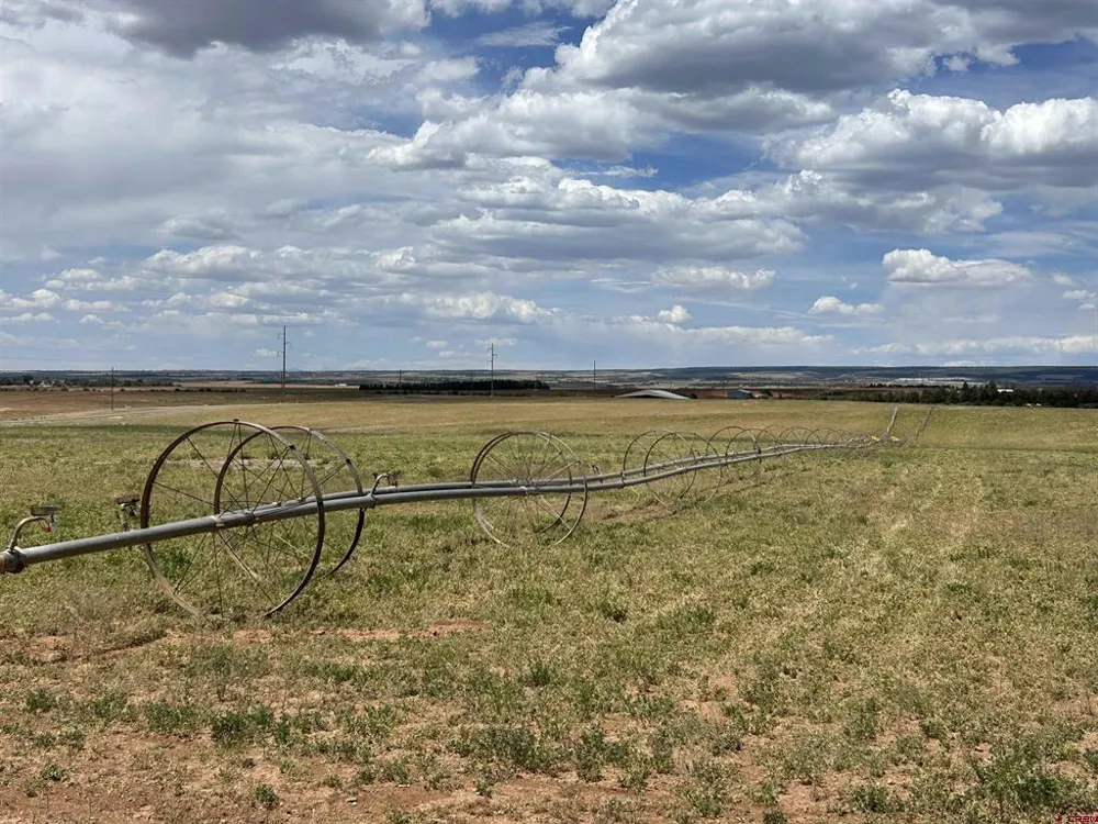 Road 15 Cahone, CO 81320