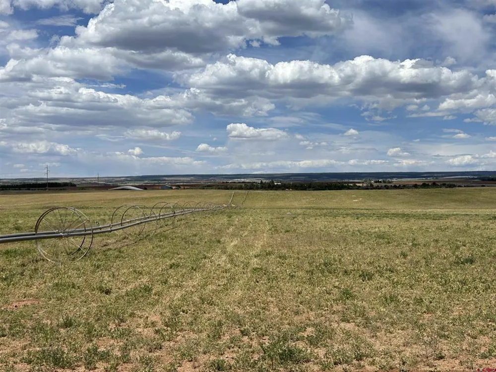 Road 15 Cahone, CO 81320