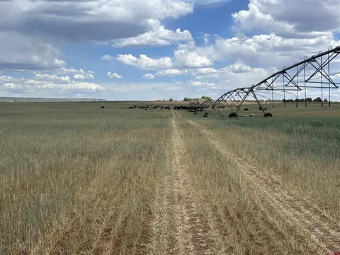 Road 15