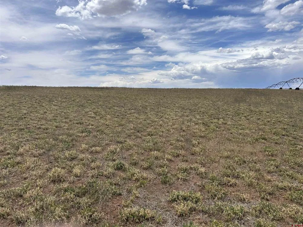 Road 16 Pleasant View, CO 81331