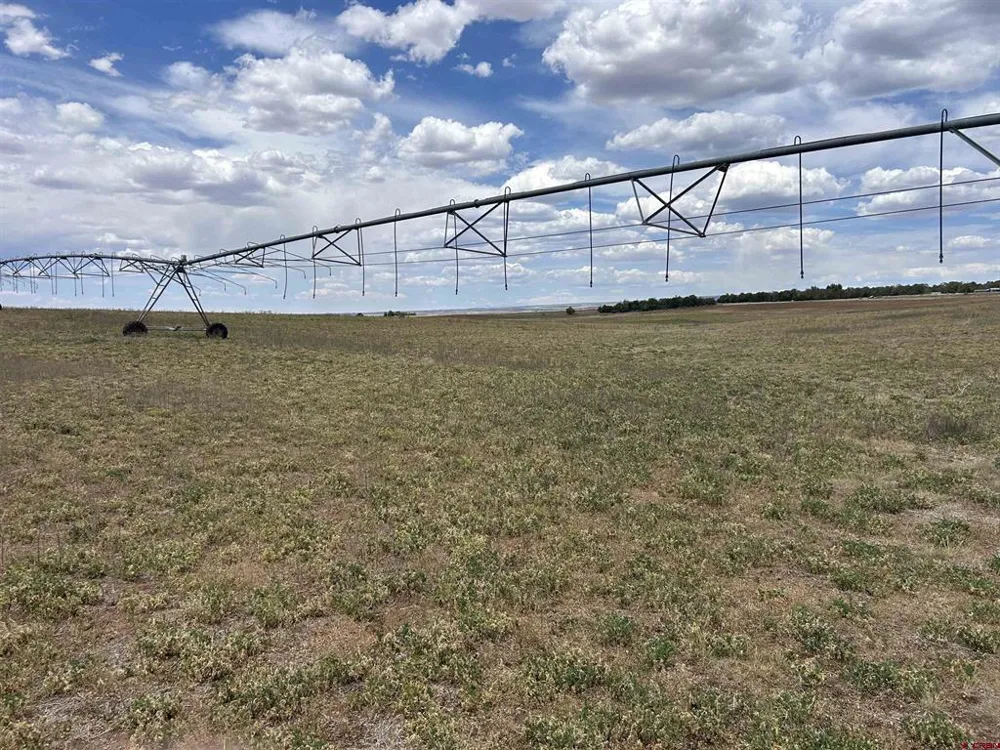 Road 16 Pleasant View, CO 81331