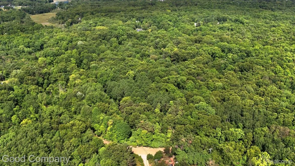3650 Drahner Road Addison Township, MI 48370