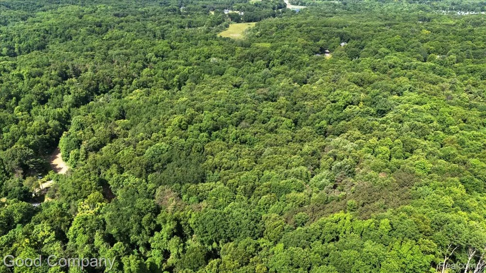 3650 Drahner Road Addison Township, MI 48370