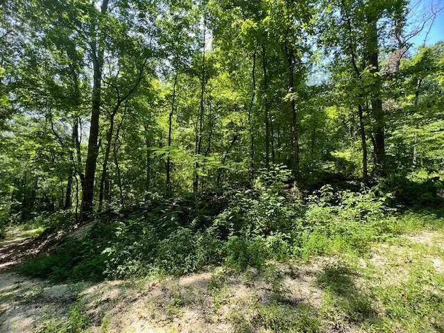 322 Baggett Road Ringgold, GA 30736