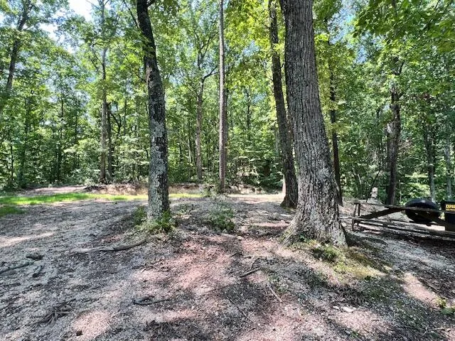 322 Baggett Road Ringgold, GA 30736