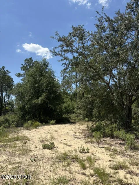 Pasofino Lane #B-3 Alford, FL 32420