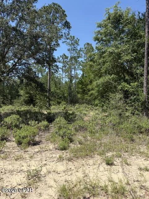Pasofino Lane #B-3 Alford, FL 32420
