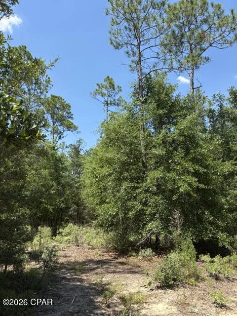 Pasofino Lane #B-3 Alford, FL 32420