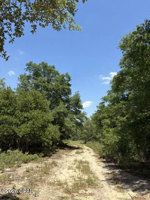 Pasofino Lane #B-3 Alford, FL 32420