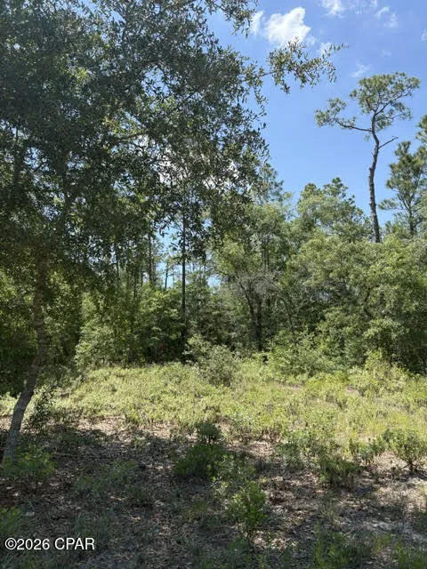 Pasofino Lane #B-3 Alford, FL 32420