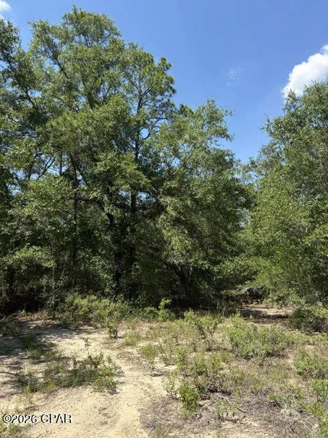 Pasofino Lane #B-3 Alford, FL 32420