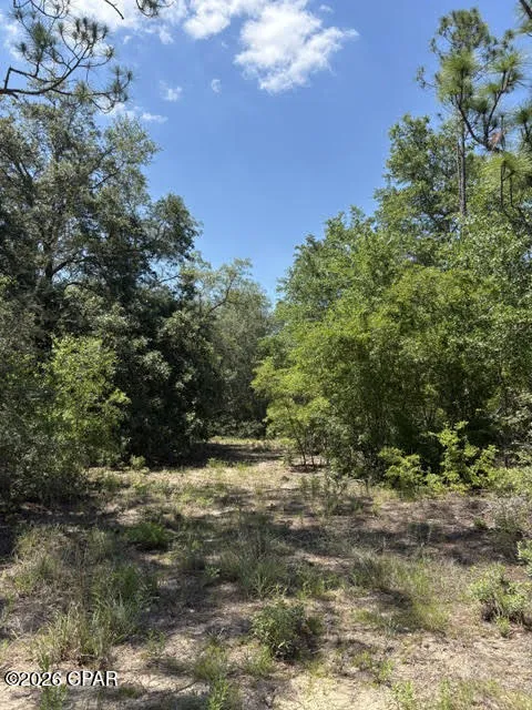Pasofino Lane #B-3 Alford, FL 32420