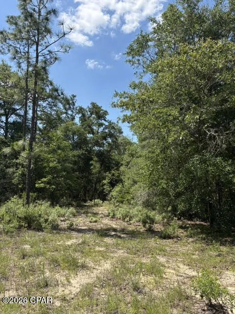 Pasofino Lane #B-3 Alford, FL 32420