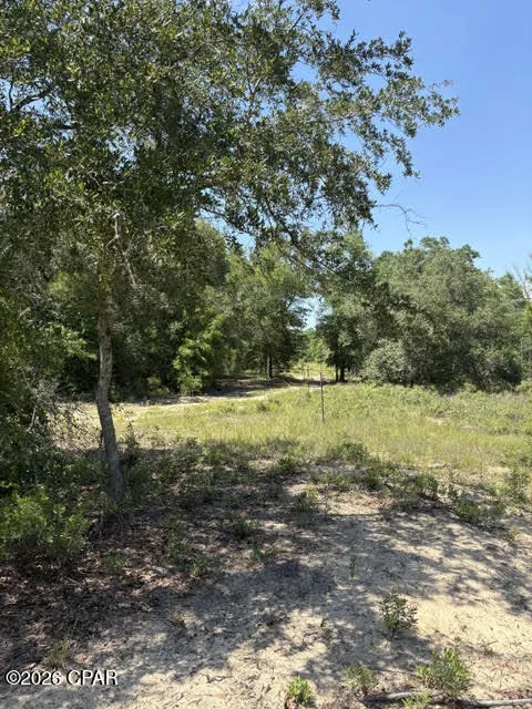 Pasofino Lane #B-3 Alford, FL 32420