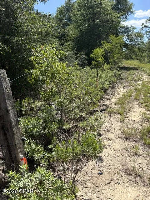 Pasofino Lane #B-3 Alford, FL 32420