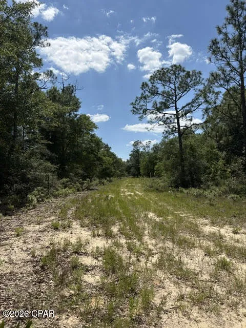 Pasofino Lane #B-3 Alford, FL 32420
