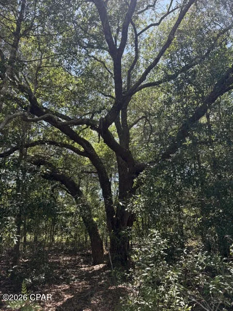 Pasofino Lane #B-3 Alford, FL 32420