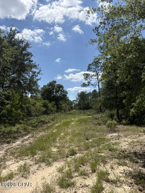 Pasofino Lane #B-3 Alford, FL 32420