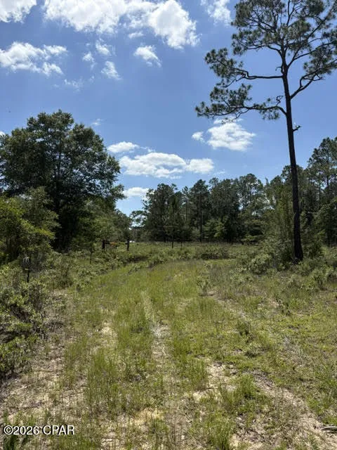 Pasofino Lane #B-3 Alford, FL 32420