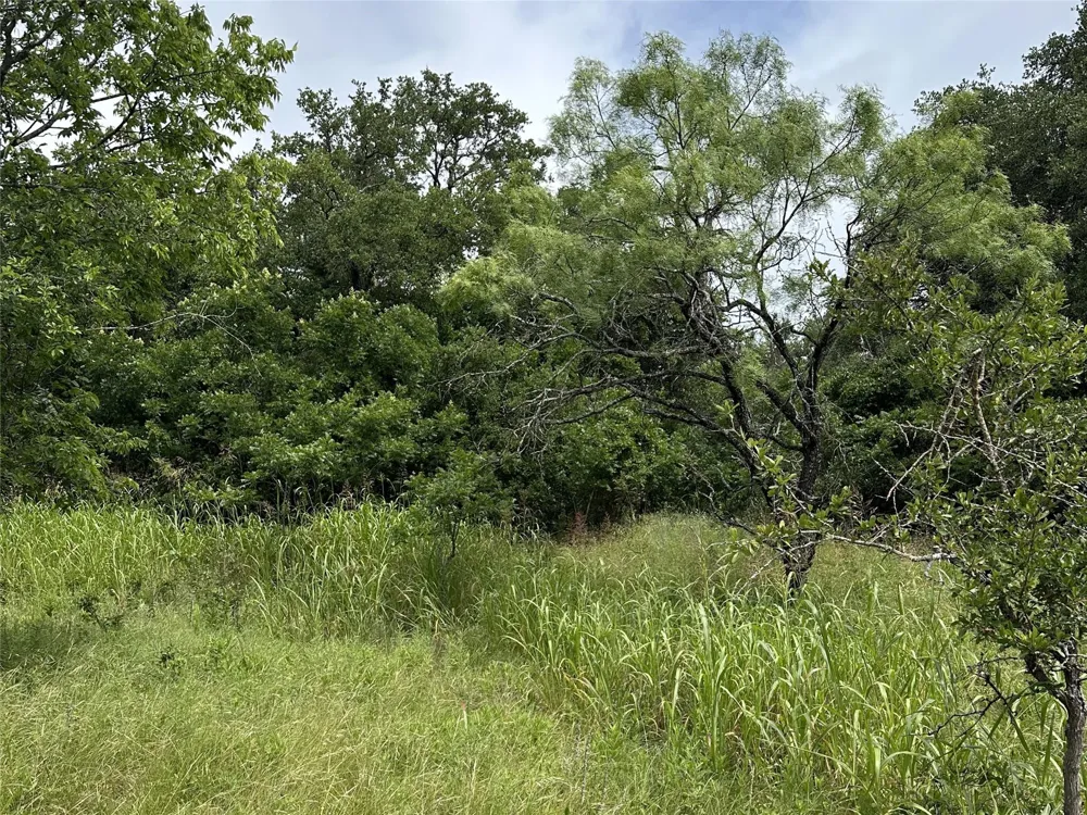 7301 Cr 321 Blanket, TX 76432