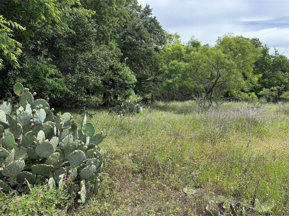 7301 Cr 321 Blanket, TX 76432