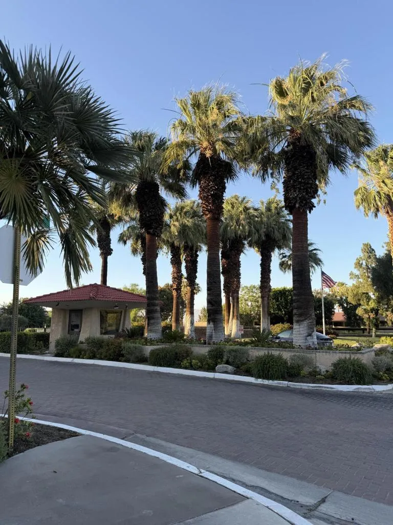 680 Ashurst Court #115 Palm Springs, CA 92262