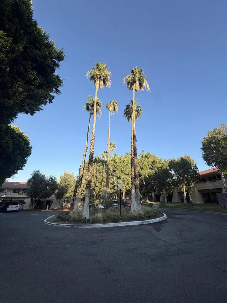 680 Ashurst Court #115 Palm Springs, CA 92262