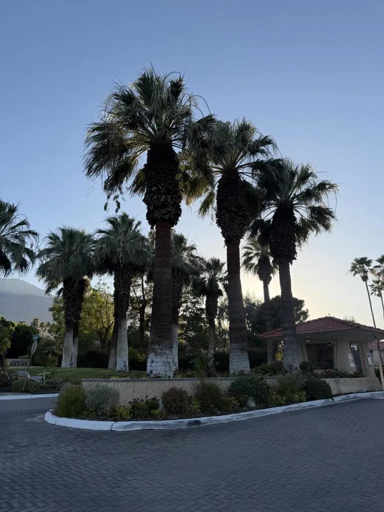680 Ashurst Court #115 Palm Springs, CA 92262