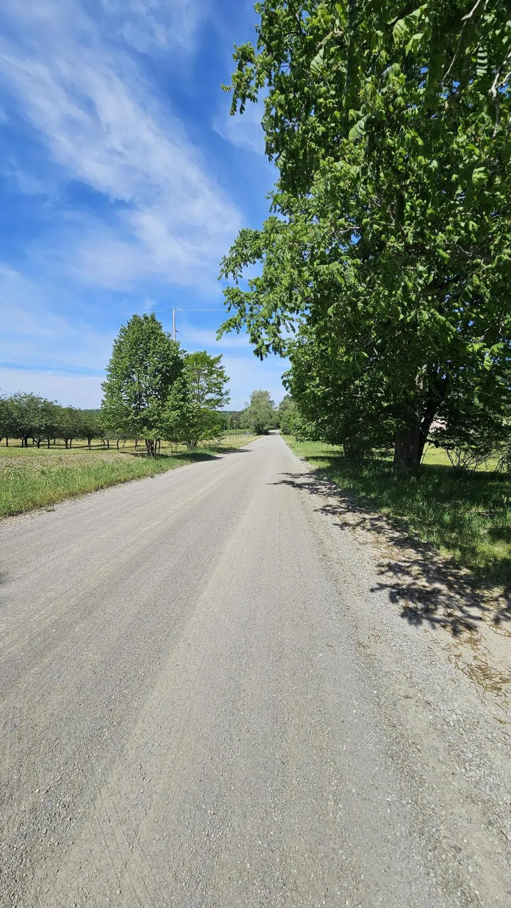 2148 W Hazel Road Hart, MI 49420