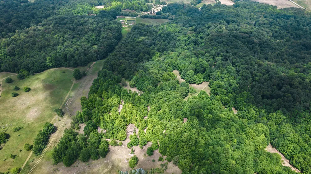 2148 W Hazel Road Hart, MI 49420