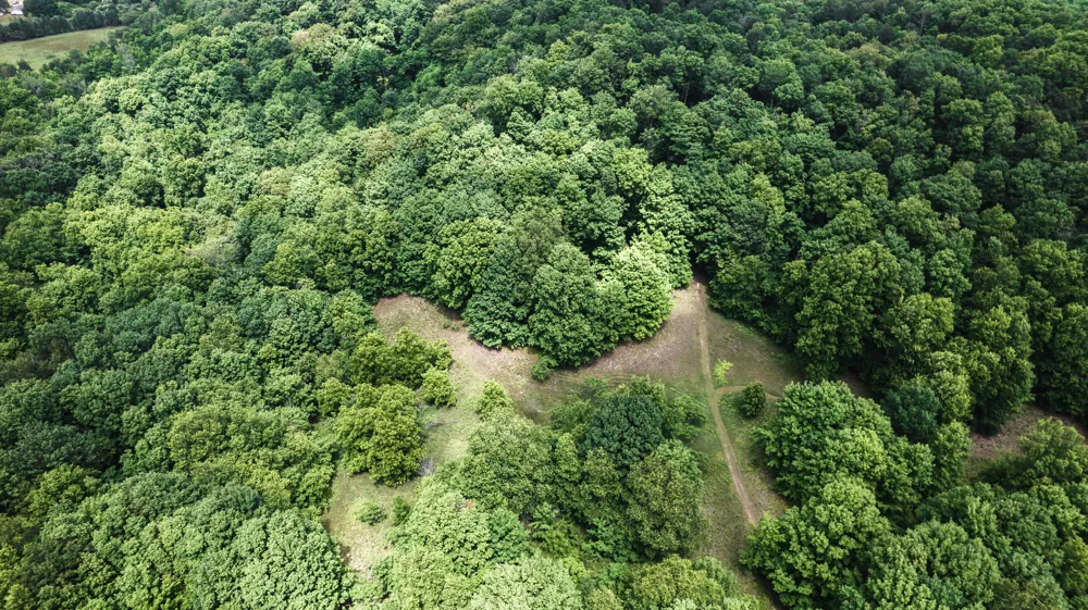 2148 W Hazel Road Hart, MI 49420