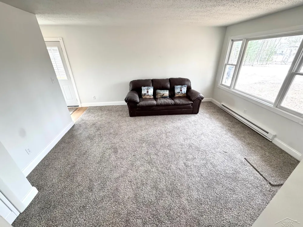 219 S Nine Mile Road Lee Township, MI 48640