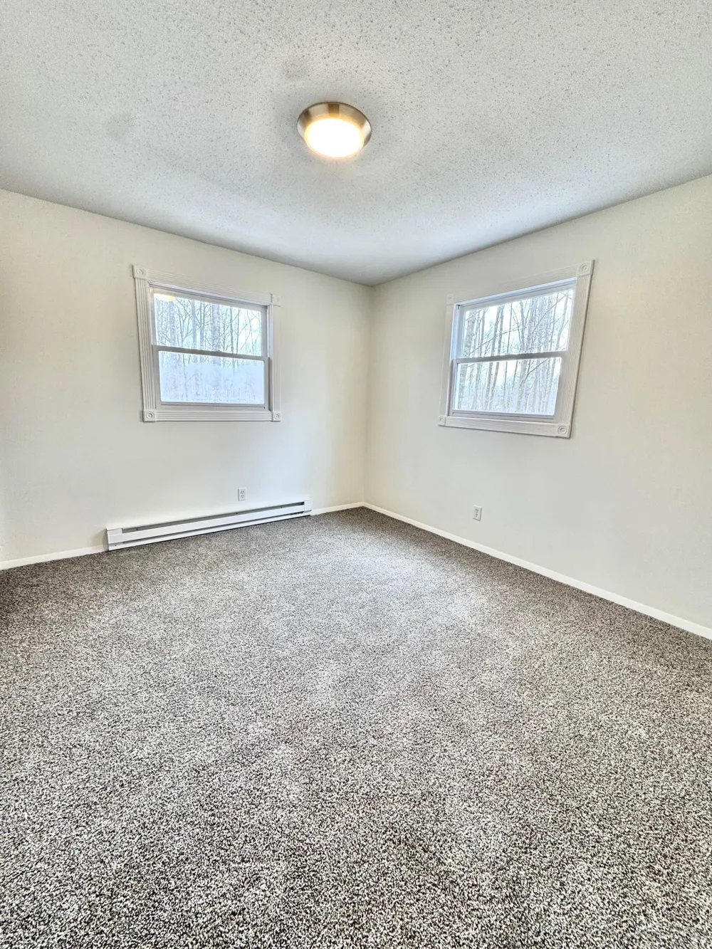 219 S Nine Mile Road Lee Township, MI 48640