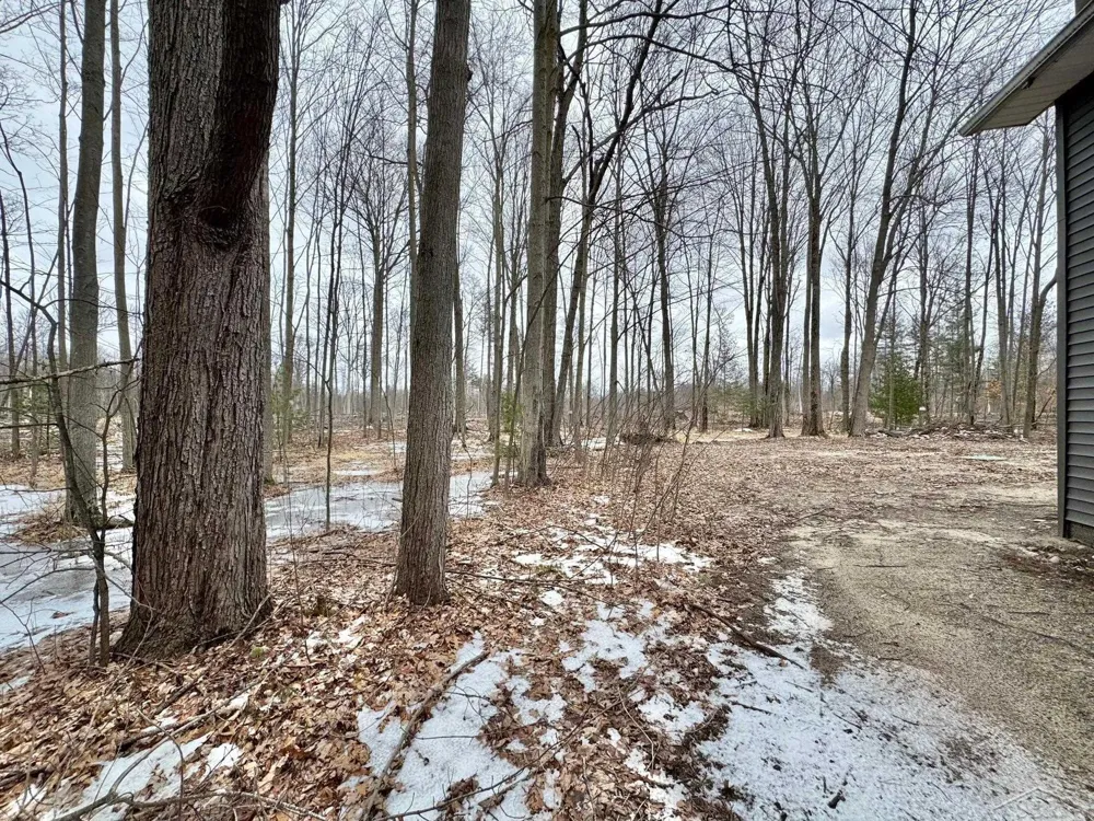 219 S Nine Mile Road Lee Township, MI 48640