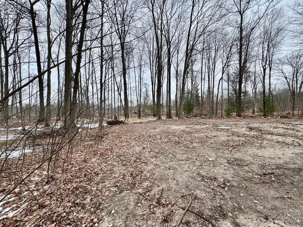 219 S Nine Mile Road Lee Township, MI 48640
