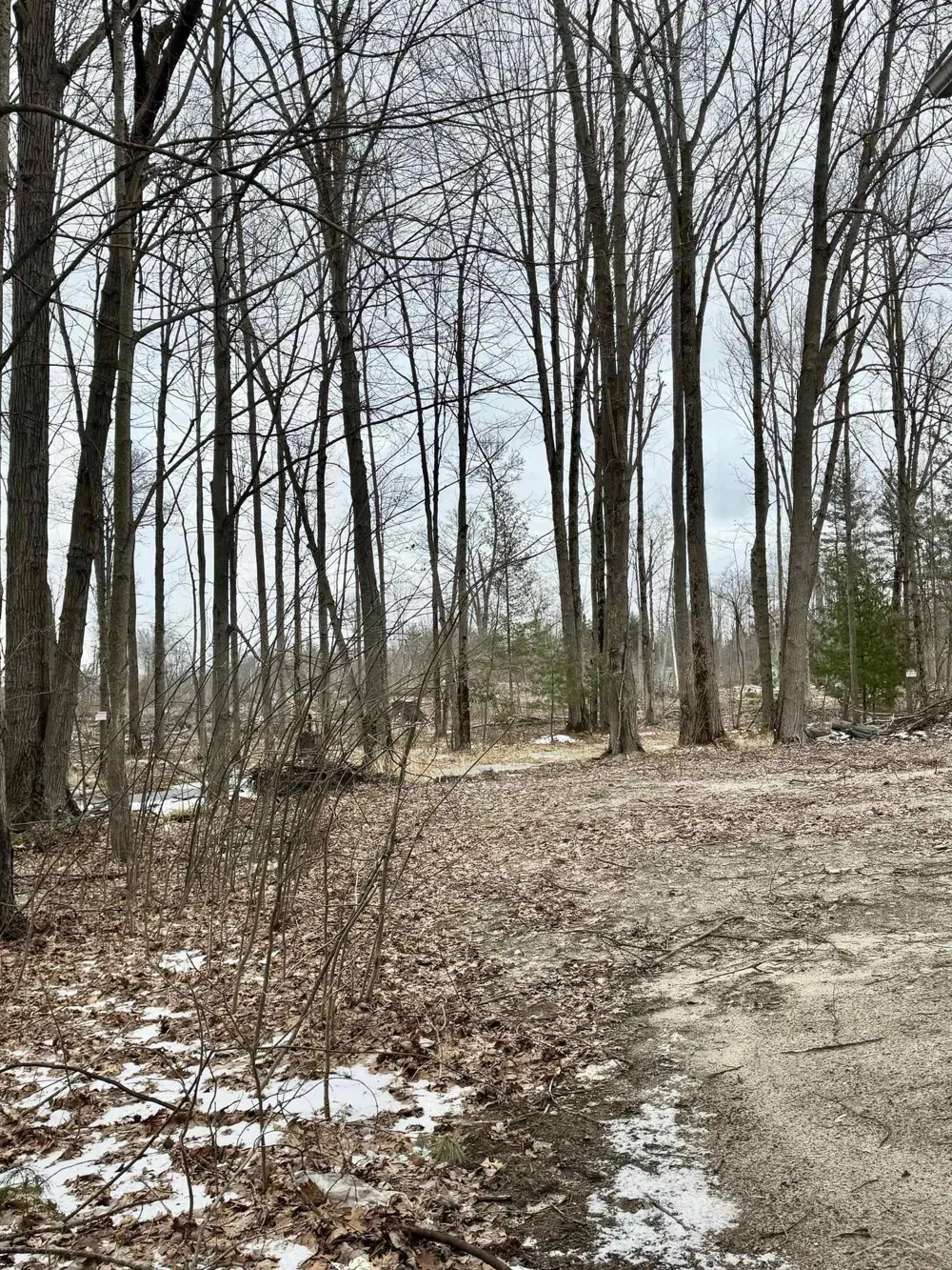 219 S Nine Mile Road Lee Township, MI 48640