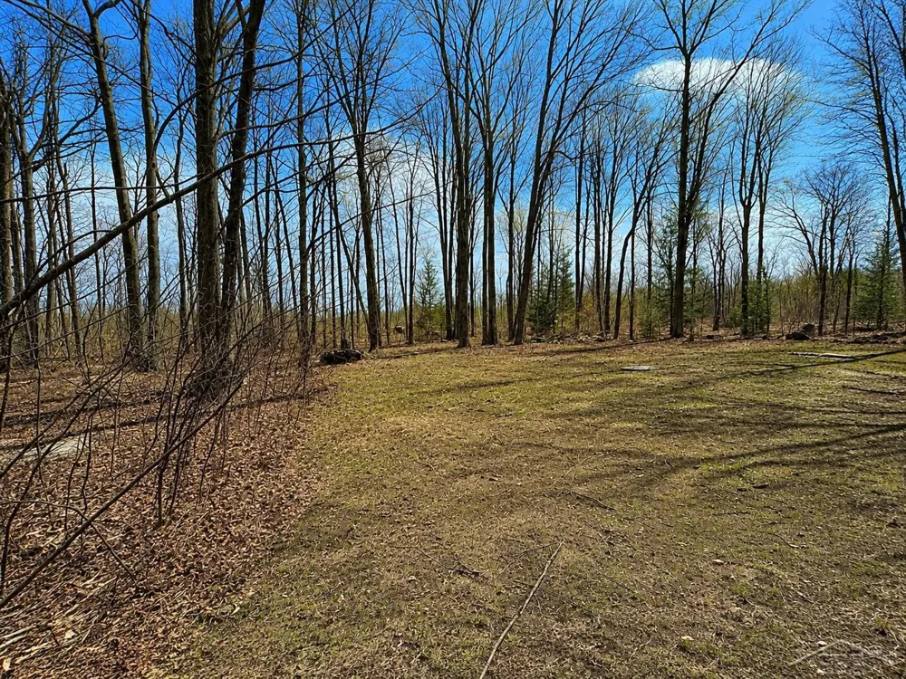219 S Nine Mile Road Lee Township, MI 48640